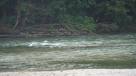 Solche Totholz-Stellen in der Isar können für Schwimmer sehr gefährlich werden.