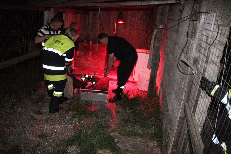 Feuerwehr und Wasserwacht retteten die Rehe aus dem wWsser und brachten sie zum Aufwärmen in eine Scheune.