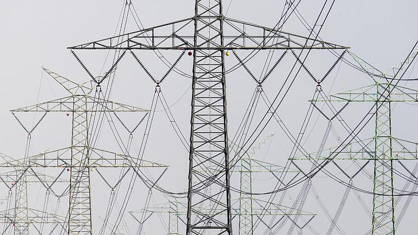 Stromleitungen bei Wewelsfleth in Schleswig-Holstein: Vor allem der Anstieg der Energiepreise schwächte sich deutlich ab.