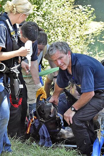 Das Pferd wurde erst ruhig gestellt und dann mittels Seilwinde gerettet.