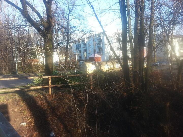 An der Ecke Nederlinger-/Canalettostraße stapeln sich die liegen gebliebenen Tannenbäume.
