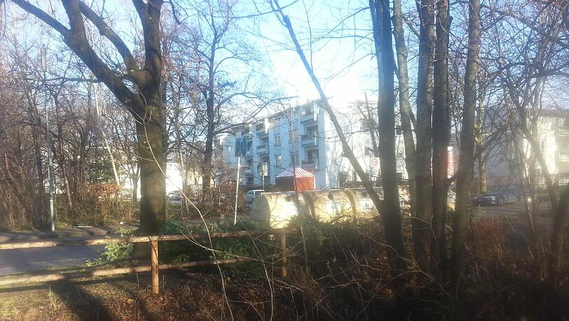 An der Ecke Nederlinger-/Canalettostraße stapeln sich die liegen gebliebenen Tannenbäume. An der Ecke Nederlinger-/Canalettostraße stapeln sich die liegen gebliebenen Tannenbäume.