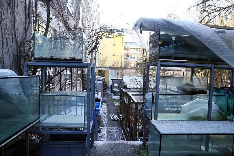 Hier die Außenanlagen der Reptilienauffangstation &ndash; viel Platz ist hier auch nicht.