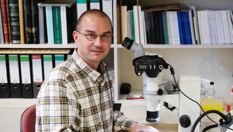 Der Biologe Sven Erlacher, Schmetterlingsexperte aus Chemnitz. Foto: Sebastian Willnow/Archivbild Der Biologe Sven Erlacher, Schmetterlingsexperte aus Chemnitz. Foto: Sebastian Willnow/Archivbild