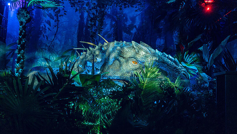 Der Hochspannungszaun ist nicht das Einzige, vor dem Sie sich in Acht nehmen m&uuml;ssen!