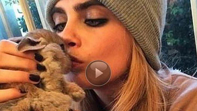 Cara Delevingne mit ihrem Kaninchen Cecil Cara Delevingne mit ihrem Kaninchen Cecil