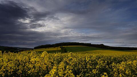 Regenwolken ziehen über blühende Rapsfelder in Nordbayern.