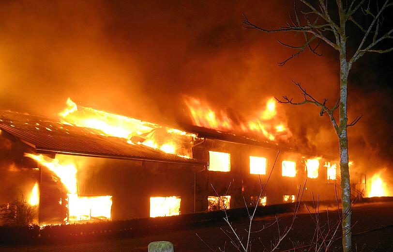 Feuer-Drama auf einer Farm in Ebhausen: 85 Kamele sterben in den Flammen