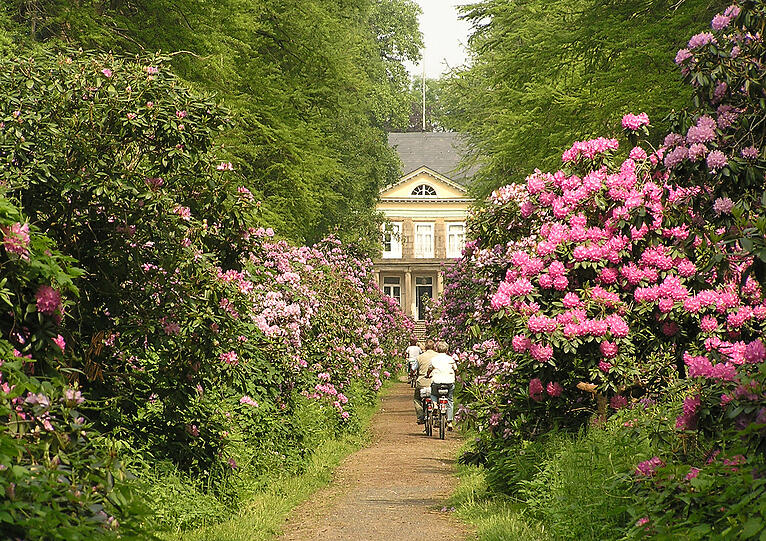 Das Hagenburger Schloss ist ein nahes und beliebtes Ausflugsziel am Steinhuder Meer.