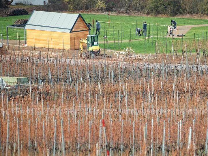 Landschaftsgärtner arbeiten neben einem Weinberg an der Fertigstellung des ersten Friedweinbergs in Bayern. Foto: Daniel Karmann