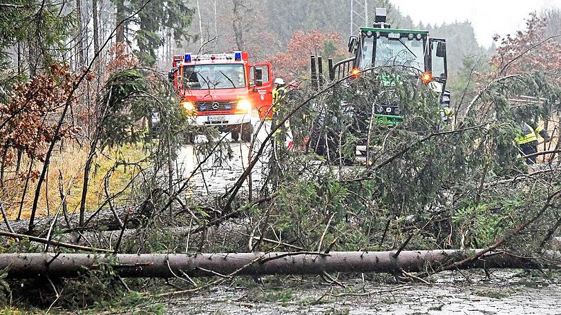 Auch in Oberhaching stürzten Bäume auf die Straße.