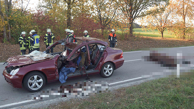 Ein Mercedes mit Totalschaden, ein schwerverletzter Autofahrer und zwei tote Pferde auf der Landstraße. Die schrecklichen Bilder aus Gangkofen