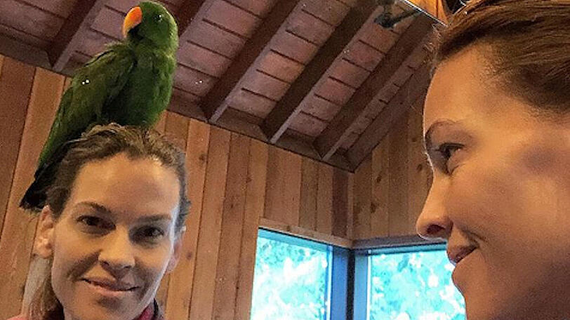 Hilary Swank hat einen Papagei als Haustier