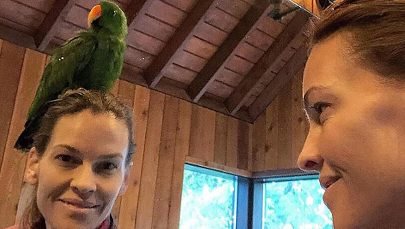 Hilary Swank hat einen Papagei als Haustier Hilary Swank hat einen Papagei als Haustier