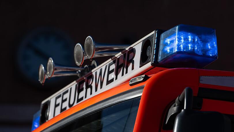 Die Feuerwehr konnte alle neun Entenküken befreien. (Symbolbild)