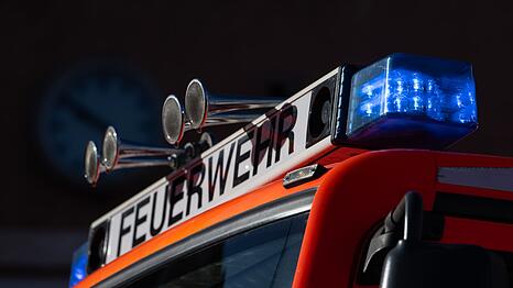 Die Feuerwehr konnte alle neun Entenküken befreien. (Symbolbild)