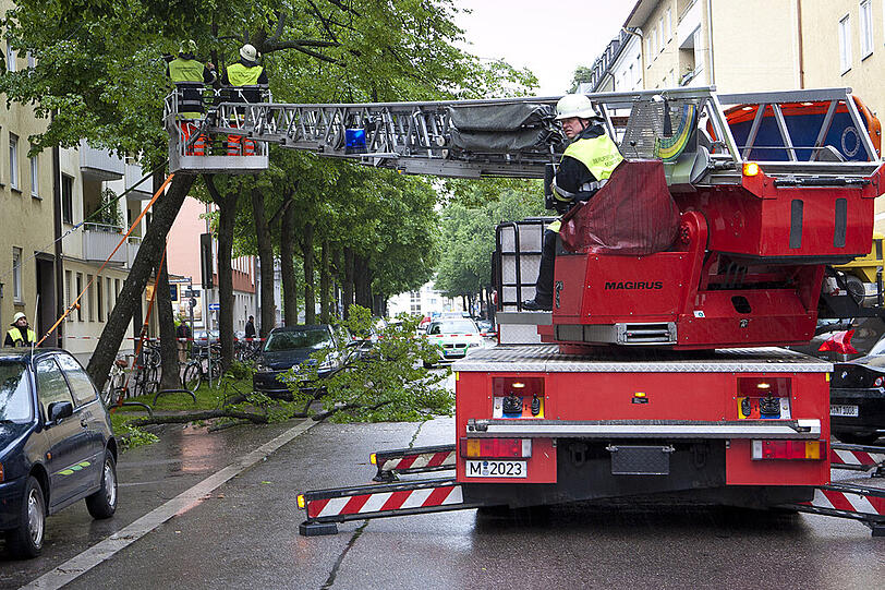 Die Fällung beginnt. Zwei Feuerwehrmänner fahren mit dem Kran nach oben und...