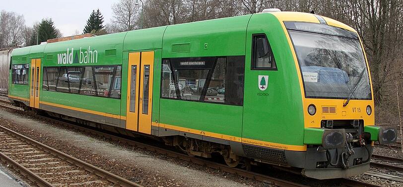 Ein Zug der Waldbahn.