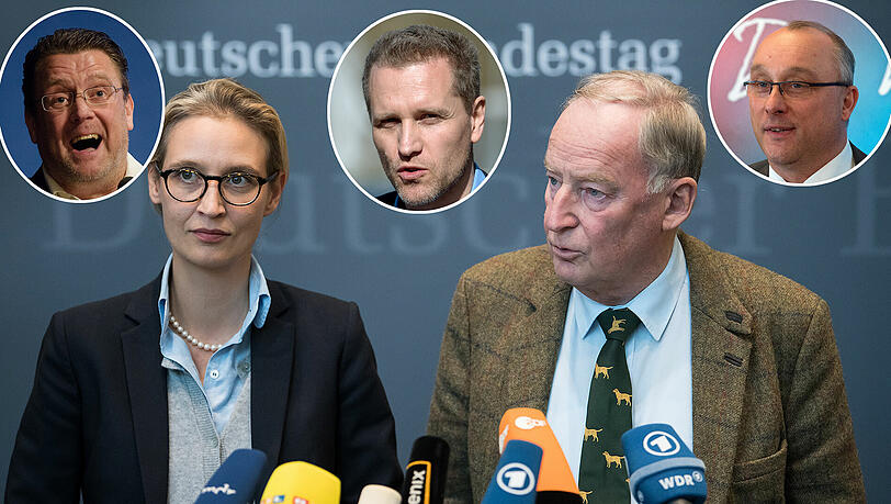 An der Spitze der AfD-Fraktion: Alice Weidel und Alexander Gauland. Zur Fraktion gehören u. a. auch Stephan Brandner (li.), Jens Maier (re.) und Petr Bystron (Mitte). An der Spitze der AfD-Fraktion: Alice Weidel und Alexander Gauland. Zur Fraktion gehören u. a. auch Stephan Brandner (li.), Jens Maier (re.) und Petr Bystron (Mitte).