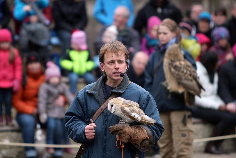 Die Greifvogel-Show im Tierpark hat jetzt eine richtige Zuschauertribüne bekommen. Am Dienstag wurde sie eröffnet.