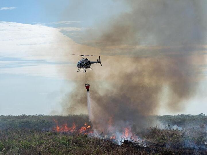 Seit Januar 2019 sollen die Feuer und Brandrodungen in Brasilien im Vergleich zum Vorjahreszeitraum um 83 Prozent zugenommen haben.
