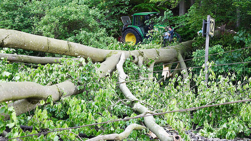 Stundenlange Sperre: Ein umgestürzter Baum hat bei Grafing im Landkreis Ebersberg die Zugstrecke München-Rosenheim blockiert. Im Einsatz waren starke Kräfte des Rettungsdienstes, darunter mehrere Schnelleinsatzgruppen sowie die Feuerwehren Grafing, Nettelkofen, Aßling, Straußdorf, Loitersdorf, Elkofen, Ebersberg und Niclasreuth. Die Bilder von der schwierigen Bergung.