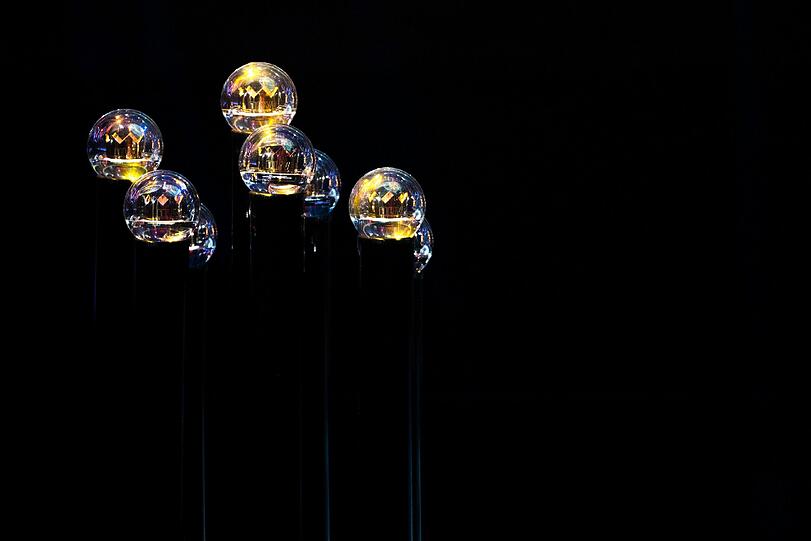 Der Preis: Die 1Live Krone