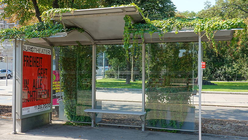 So ähnlich könnten die Haltestellen in München zukünftig aussehen: Eine begrünte Straßenbahnhaltestelle in Wien. (Archivbild)