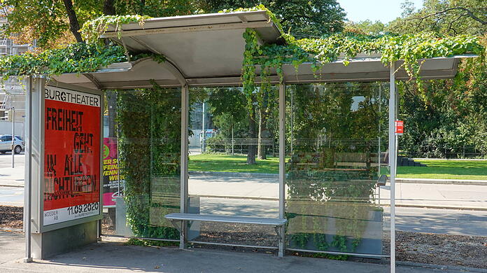 So ähnlich könnten die Haltestellen in München zukünftig aussehen: Eine begrünte Straßenbahnhaltestelle in Wien. (Archivbild)