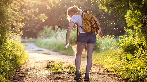 Wer viel in der Natur unterwegs ist, sollte sich ausreichend vor Zecken schützen.