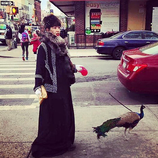Dexters Hobbys umfassen Reisen durch Amerika, Sightseeing in New York und Körner picken.