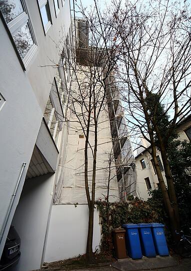 Ob der hohe Ahorn die Mauer und Hauswand beschädigt, ist strittig.