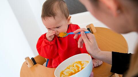 Vegan? Nein, danke! In Italien sollen Eltern, die ihren Kinder tierische Erzeugnisse verwehren, mit einer Haftstrafe belangt werden.