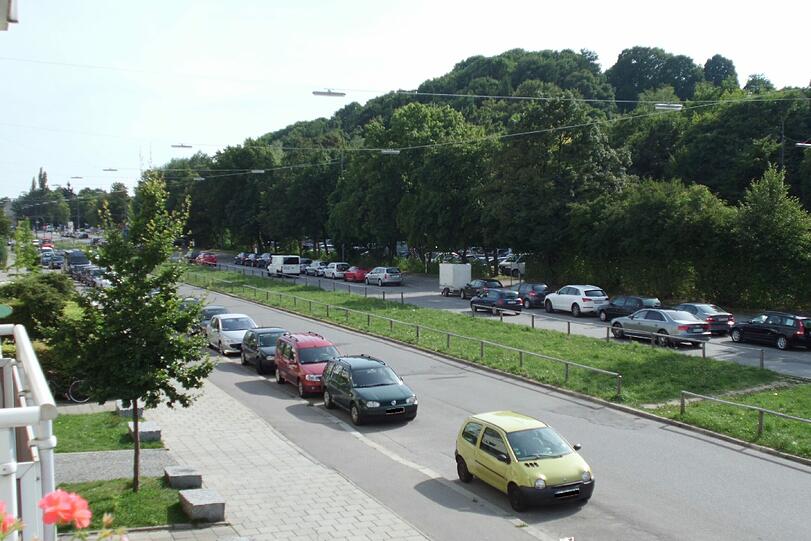 Auf dem breiten Grünstreifen in der Mitte der vielbefahrenen Straße wäre auf jeden Fall reichlich Platz für mehr Grün.