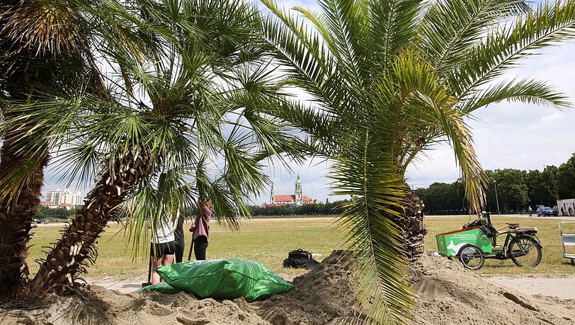 Sand und Palmen finden sich auf der Theresienwiese - wo sonst Zelte stünden...
