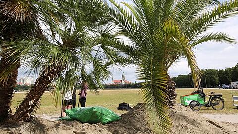 Sand und Palmen finden sich auf der Theresienwiese - wo sonst Zelte stünden...