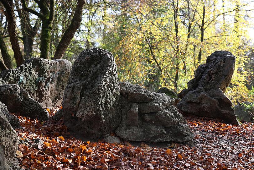 Wie diese Findlinge wohl ihren Weg in den Balanpark gefunden haben?