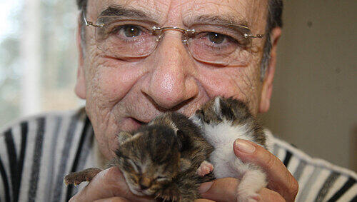 Tierheim-Chef Denny Baruch fordert einen Chip für jede Katze. Tierheim-Chef Denny Baruch fordert einen Chip für jede Katze.