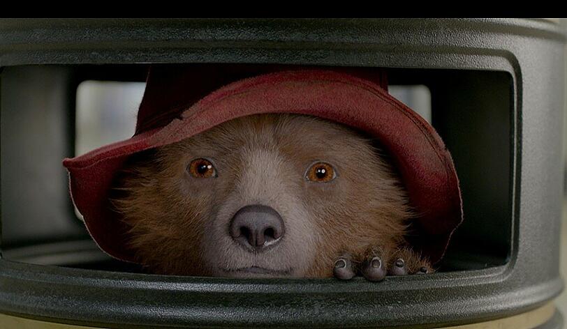 In seinem neuen Abenteuer lebt Paddington auf engem Raum.