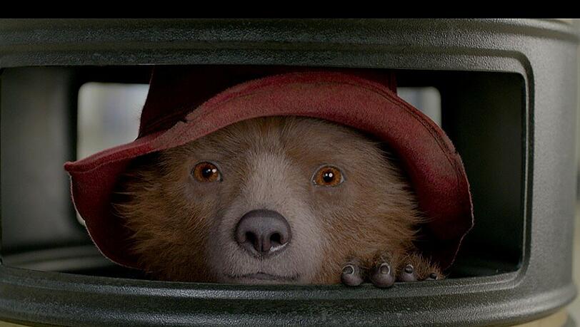 In seinem neuen Abenteuer lebt Paddington auf engem Raum.