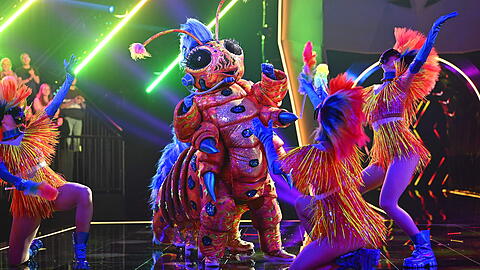Wurde am 16. Oktober als das zweite Top-Secret-Kostüm bei "The Masked Singer" vorgestellt: Die achtbeinige Raupe auf Rollschuhen.