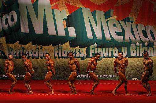 Die fleißigsten Bodybuilder des Landes und vor allem ihre Muskeln sind am Sonntag in Mexico Stadt zusammen gekommen, um bei der Wahl zum Mr Mexico für den schönsten Körper gekürt zu werden.
