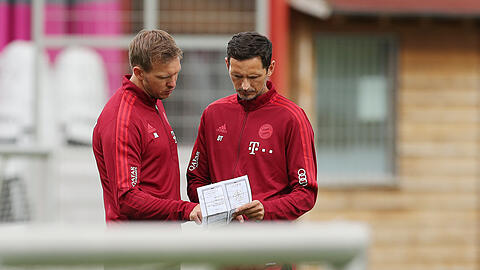 Einblicke beim FC Bayern: Dino Toppmöller (re.), einst Co-Trainer von Julian Nagelsmann.