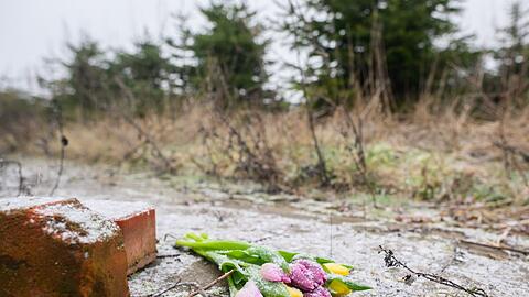 Tulpen liegen an einer Tannenbaumschonung in Wunstorf-Blumenau, wo die Leiche eines 14-jährigen Jungen gefunden worden war.