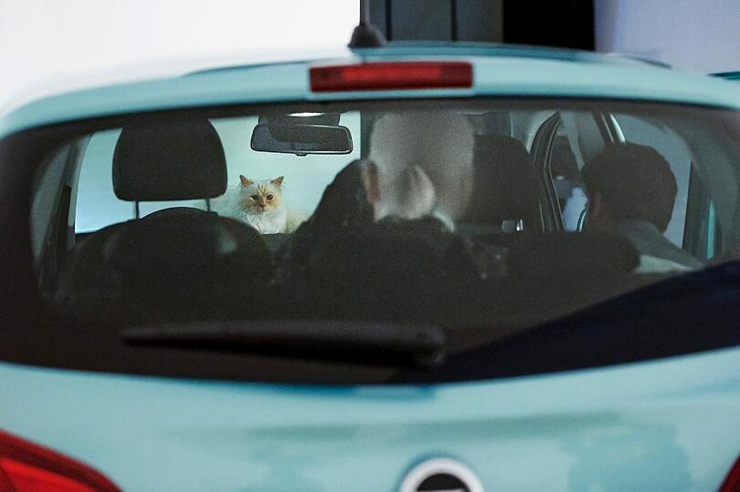 Am Set: Opel Corsa, Karl Lagerfeld und Supermodel Choupette.