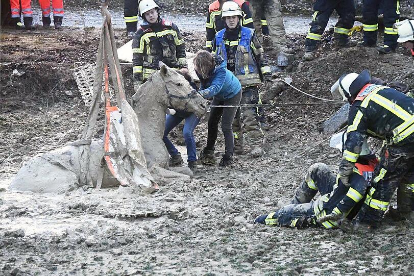 Die Feuerwehr Taufkirchen hat am Sonntag einen ungewöhnlichen Einsatz souverän erledigt: Das im Matsch versunkene Pferd wurde unversehrt gerettet.