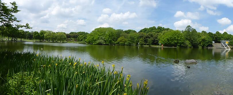 Diese Impressionen aus dem Westpark hat eine AZ-Leserin festgehalten.