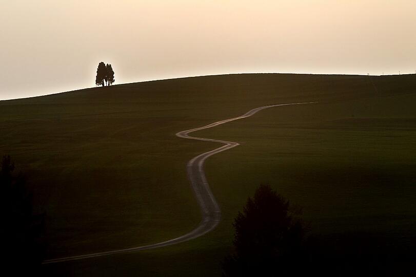 Ein Feldweg leuchtet am im Gegenlicht der tief stehenden Sonne im bayerischen Rettenbach.