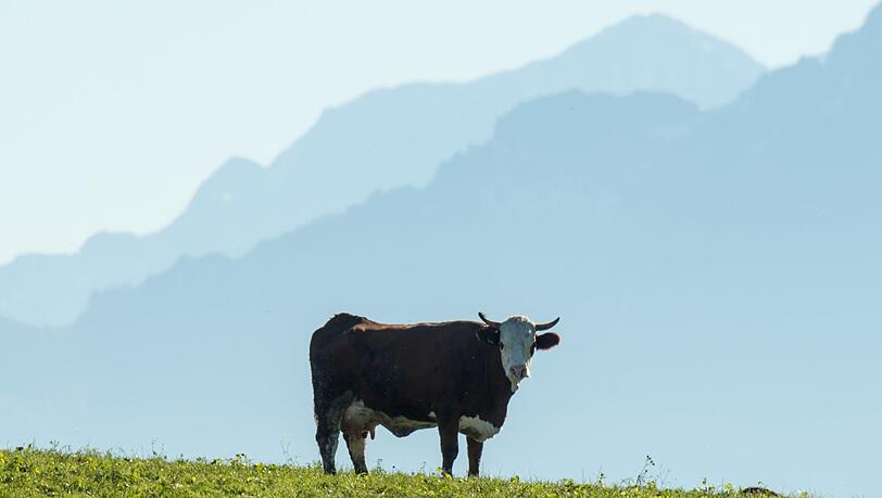 Zu Unfällen kommt es meist, wenn die Wanderer sich nicht angemessen verhalten. Verhaltensregeln und Warnhinweise sollen das ändern. Zu Unfällen kommt es meist, wenn die Wanderer sich nicht angemessen verhalten. Verhaltensregeln und Warnhinweise sollen das ändern.