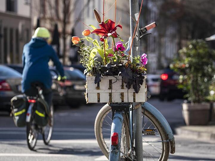 Auch in Frankfurt zeigt sich der Februar von seiner frühlingshaften Seite. Blumen in der Berger Straße.